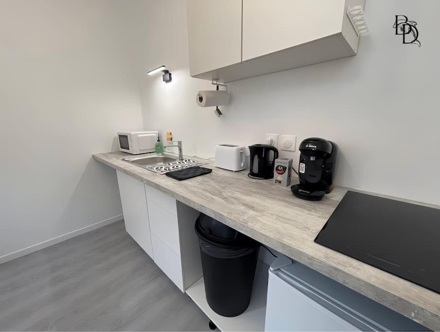 T1 Bis Appartement B3 30M2 Cosy 7Min A Pieds Des Gares Roanne Bagian luar foto
