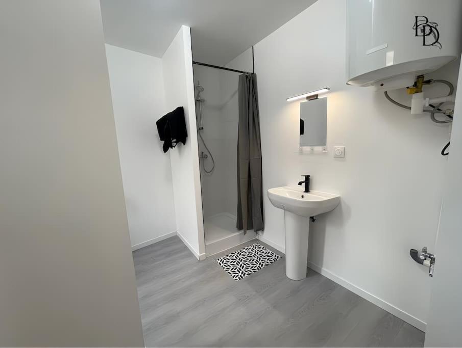 T1 Bis Appartement B3 30M2 Cosy 7Min A Pieds Des Gares Roanne Bagian luar foto