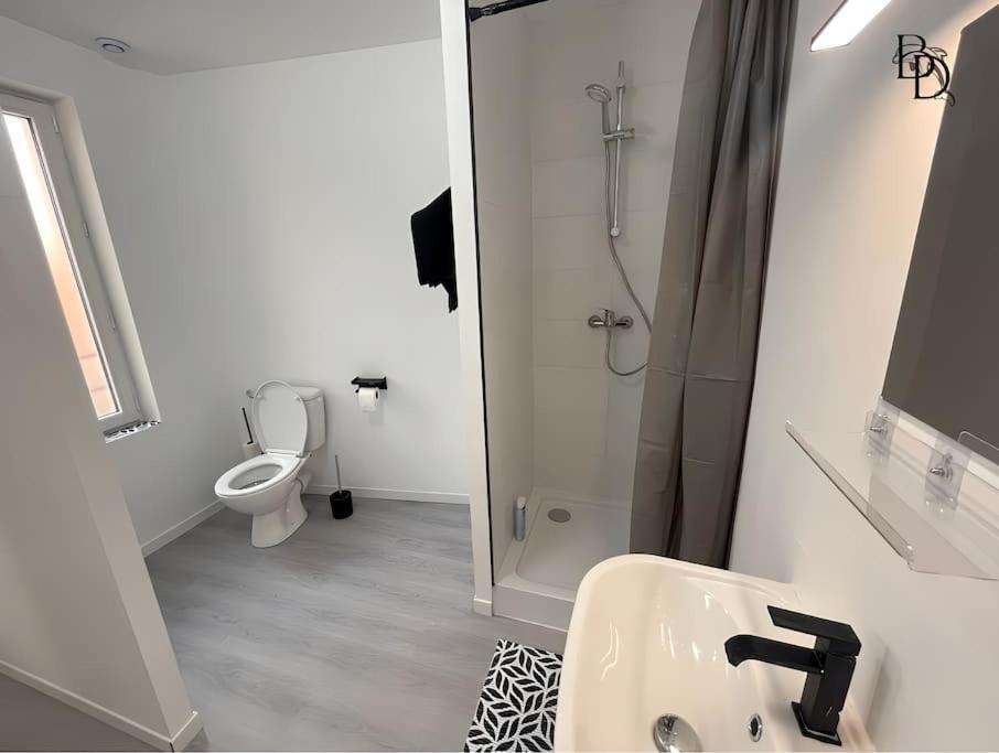 T1 Bis Appartement B3 30M2 Cosy 7Min A Pieds Des Gares Roanne Bagian luar foto
